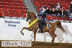 13buck_1227 proof