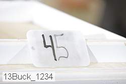 13buck_1234 proof