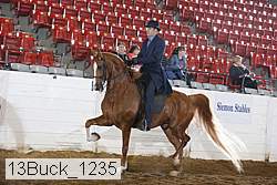 13buck_1235 proof