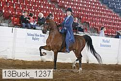 13buck_1237 proof