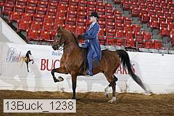 13buck_1238 proof