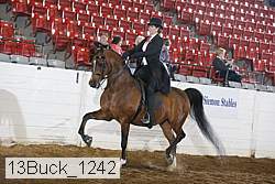 13buck_1242 proof