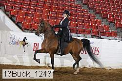 13buck_1243 proof