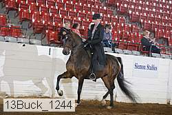 13buck_1244 proof