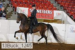 13buck_1245 proof