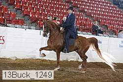 13buck_1249 proof