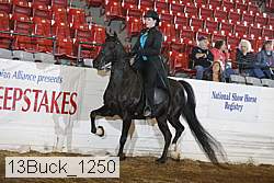 13buck_1250 proof