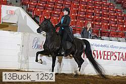 13buck_1252 proof