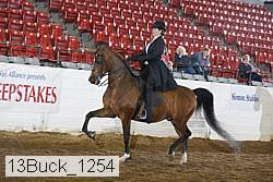 13buck_1254 proof