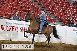 13buck_1256 proof