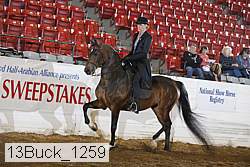 13buck_1259 proof