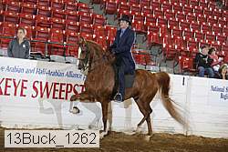 13buck_1262 proof