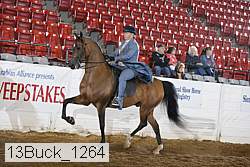 13buck_1264 proof