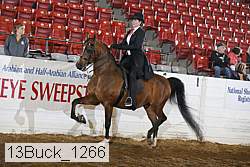 13buck_1266 proof