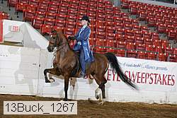 13buck_1267 proof
