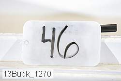 13buck_1270 proof