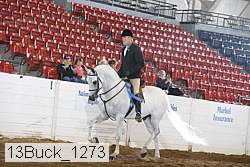 13buck_1273 proof