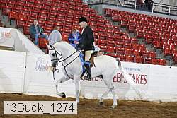 13buck_1274 proof