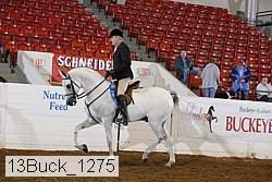 13buck_1275 proof