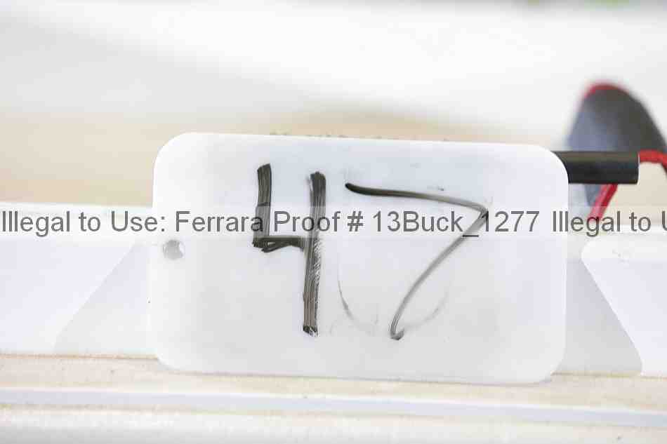 Proof 13buck_1277