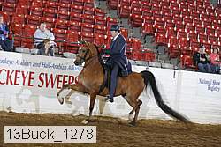 13buck_1278 proof