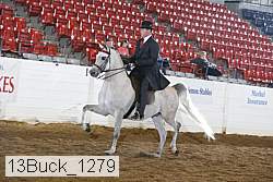 13buck_1279 proof