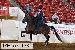 13buck_1281 proof
