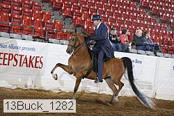 13buck_1282 proof
