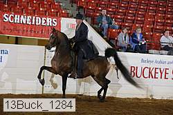 13buck_1284 proof