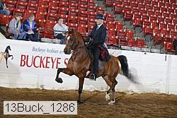 13buck_1286 proof