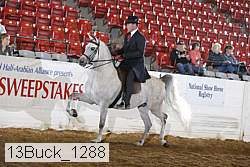 13buck_1288 proof
