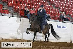 13buck_1290 proof
