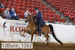 13buck_1292 proof