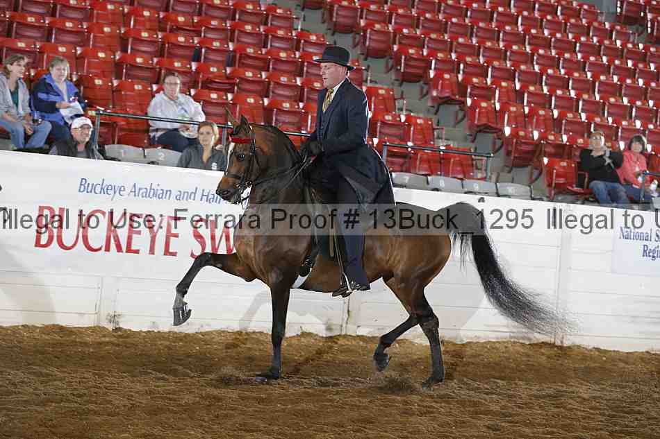 Proof 13buck_1295