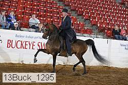 13buck_1295 proof