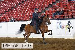 13buck_1297 proof