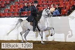 13buck_1298 proof