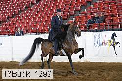 13buck_1299 proof