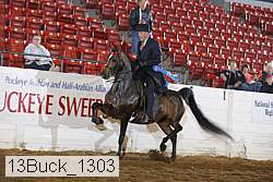 13buck_1303 proof