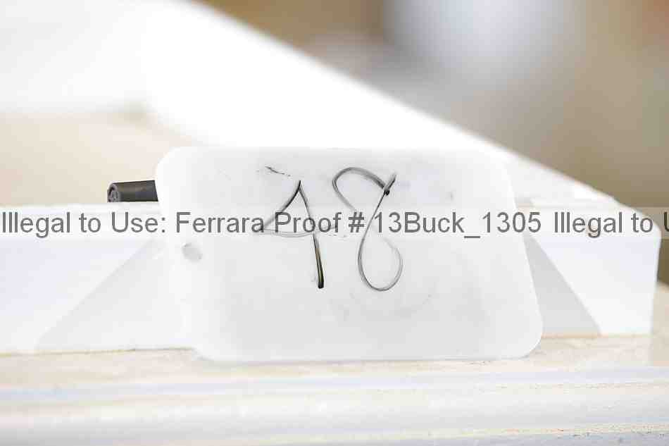 Proof 13buck_1305
