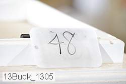 13buck_1305 proof