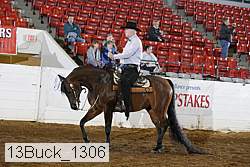 13buck_1306 proof