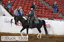 13buck_1309 proof