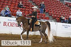 13buck_1313 proof
