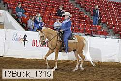 13buck_1315 proof
