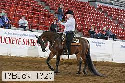 13buck_1320 proof