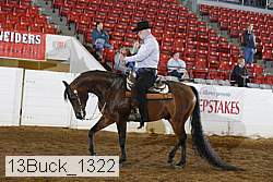 13buck_1322 proof