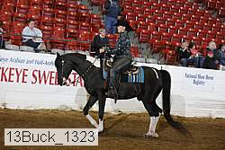 13buck_1323 proof