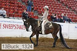 13buck_1324 proof