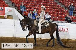 13buck_1325 proof